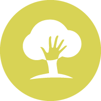 Forest Management Icon